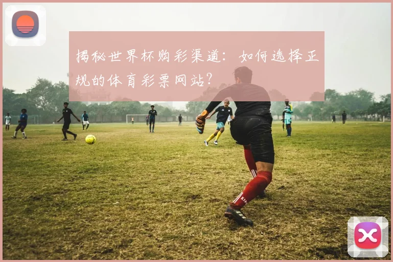 揭秘世界杯购彩渠道：如何选择正规的体育彩票网站？