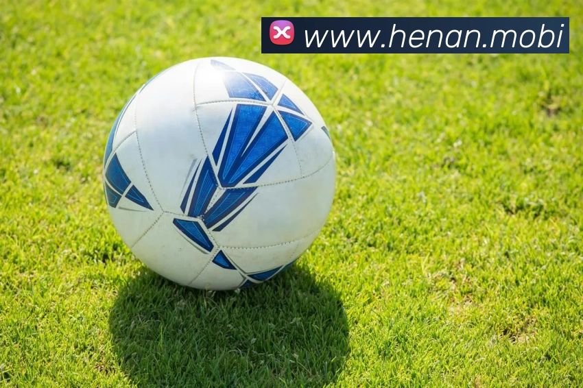 乐冠国际平台生态图